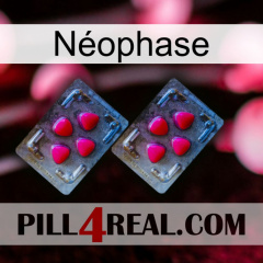 Néophase 14
